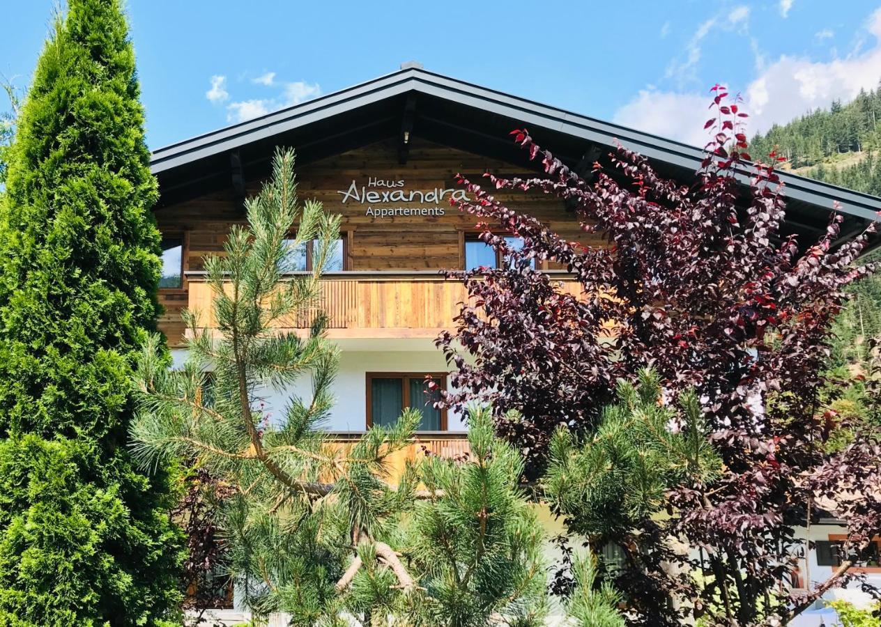 Haus Alexandra Apartment Верфенвенг Екстериор снимка